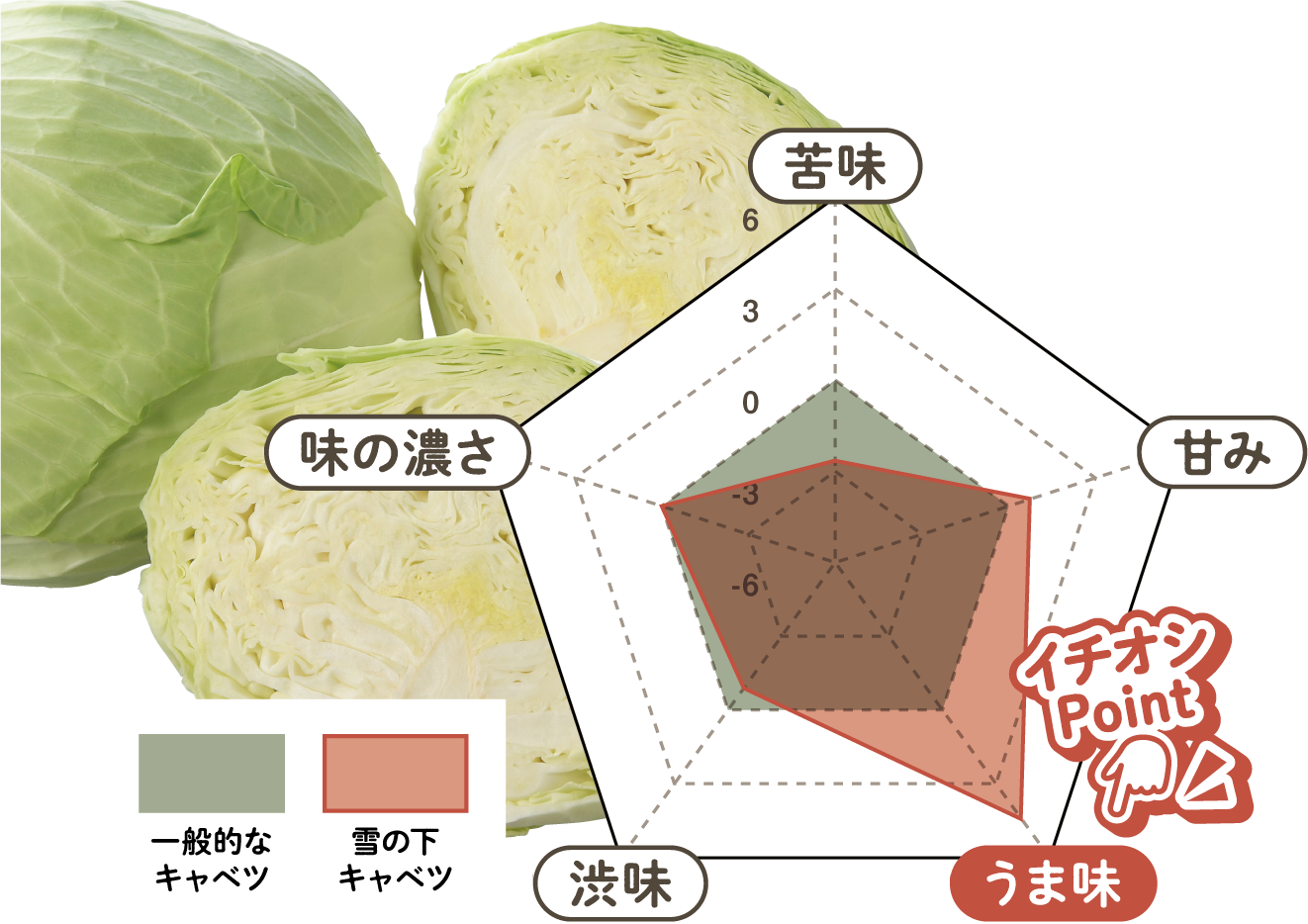 雪の下キャベツ(越冬キャベツ)のバランス図