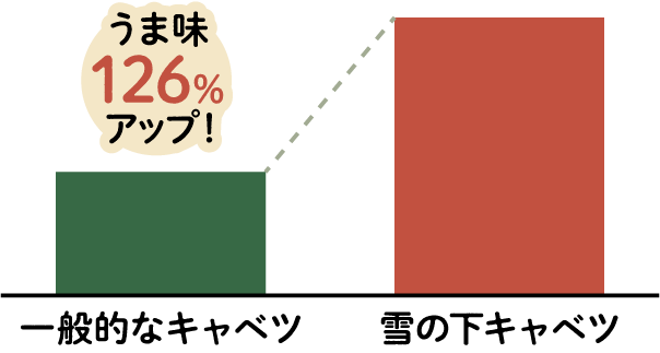 キャベツの棒グラフ