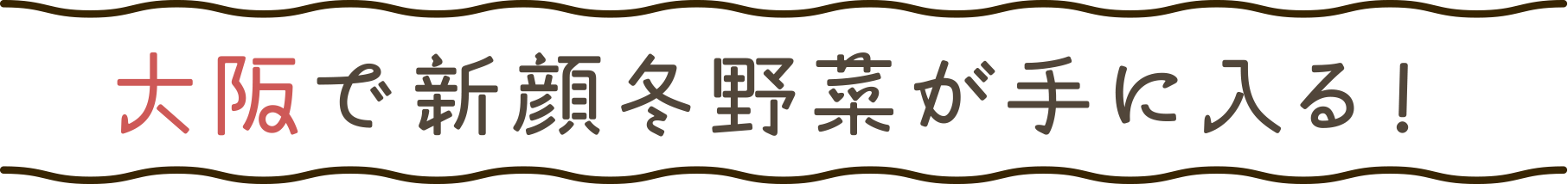 大阪で新顔冬野菜が手に入る!