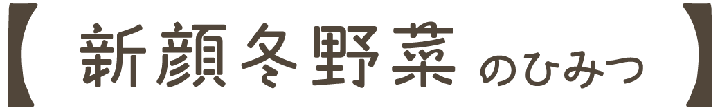 新顔冬野菜のひみつ