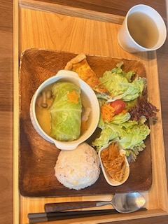 雪の下キャベツのロールキャベツ